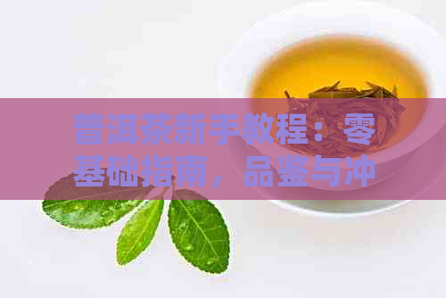 普洱茶新手教程：零基础指南，品鉴与冲泡技巧详解，茶叶品质鉴别与选购攻略