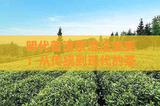 明代普洱茶泡法演变：从传统到现代的茶艺探索