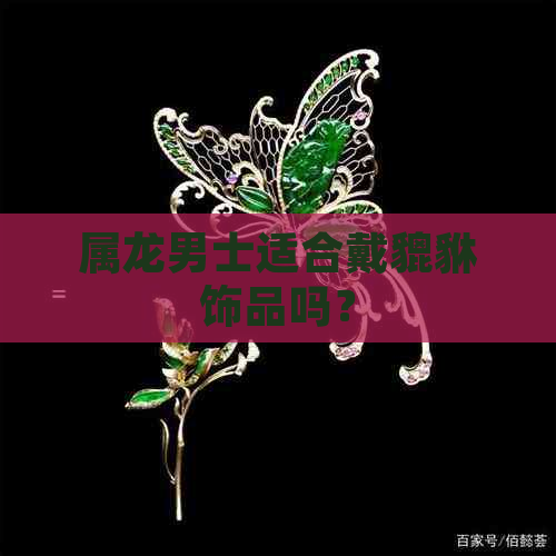 属龙男士适合戴貔貅饰品吗？