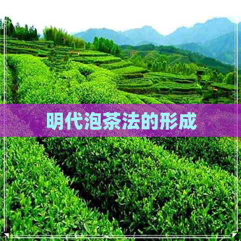 明代泡茶法的形成