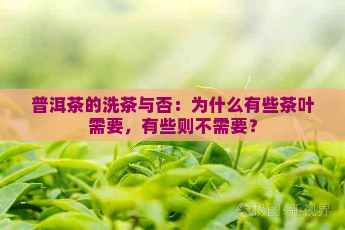 普洱茶的洗茶与否：为什么有些茶叶需要，有些则不需要？