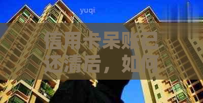 信用卡呆账已还清后，如何彻底解决相关问题和恢复信用？