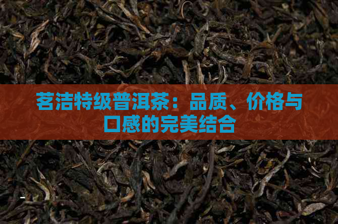 茗洁特级普洱茶：品质、价格与口感的完美结合