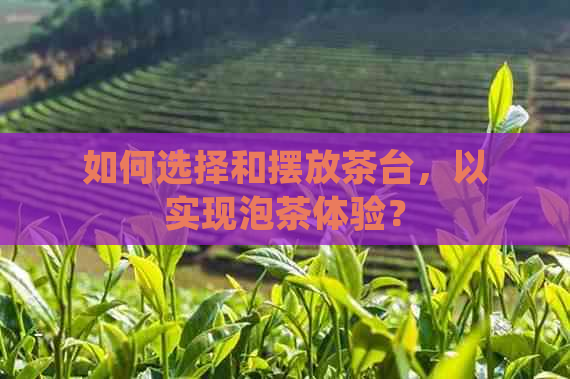 如何选择和摆放茶台，以实现泡茶体验？