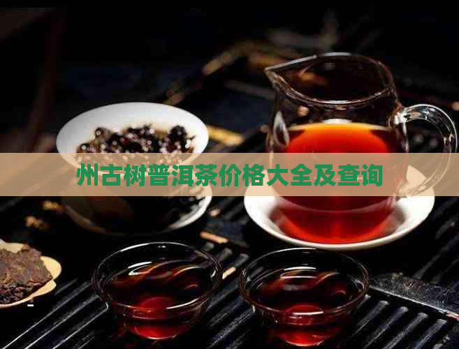 州古树普洱茶价格大全及查询