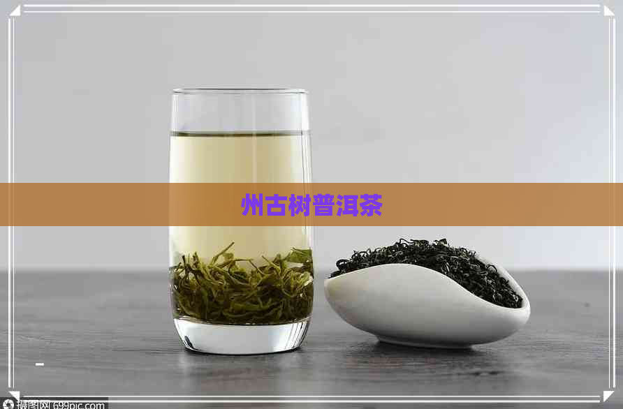 州古树普洱茶