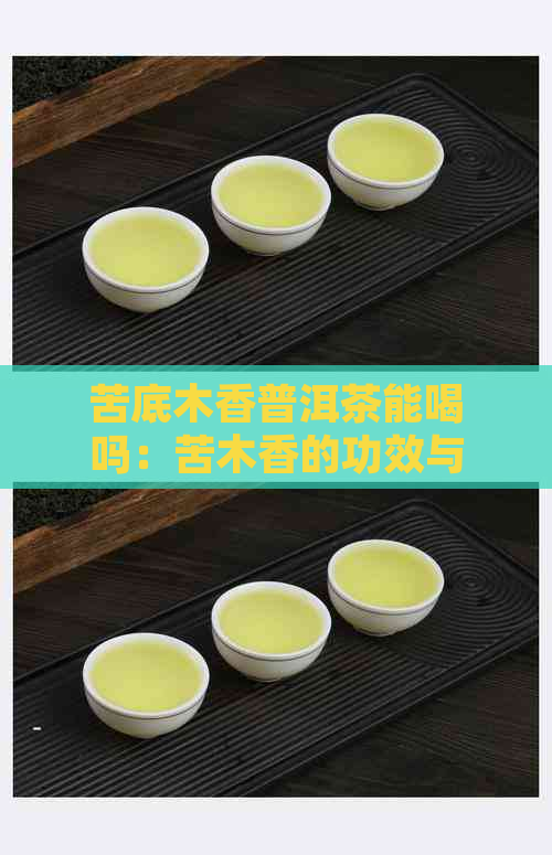 苦底木香普洱茶能喝吗：苦木香的功效与作用及百度百科解释