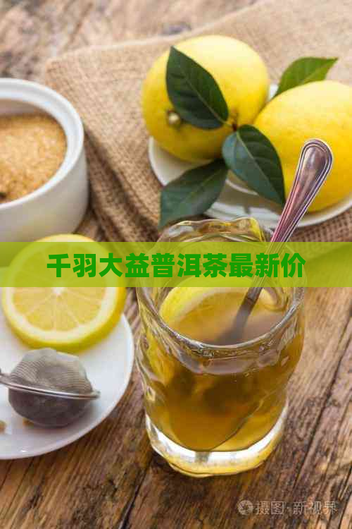 千羽大益普洱茶最新价