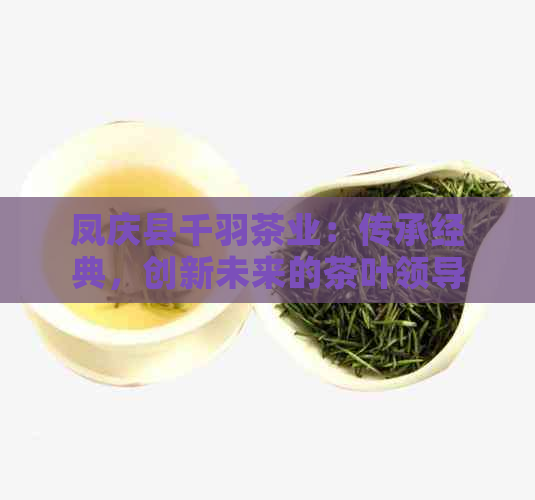 凤庆县千羽茶业：传承经典，创新未来的茶叶领导者