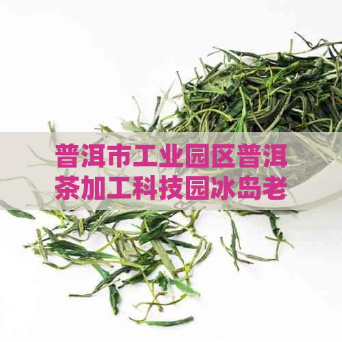 普洱市工业园区普洱茶加工科技园冰岛老寨招聘