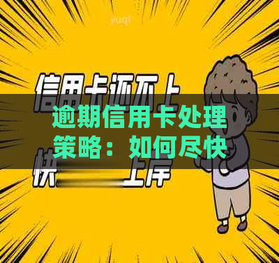 逾期信用卡处理策略：如何尽快解决逾期问题，避免影响信用？