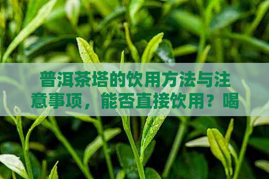 普洱茶塔的饮用方法与注意事项，能否直接饮用？喝茶塔有什么好处和坏处？