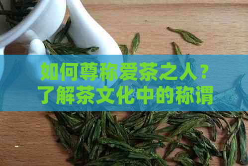 如何尊称爱茶之人？了解茶文化中的称谓表达