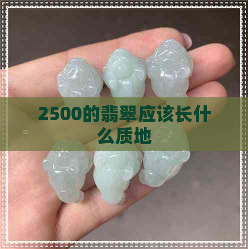 2500的翡翠应该长什么质地