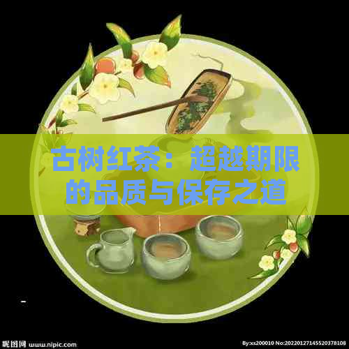 古树红茶：超越期限的品质与保存之道