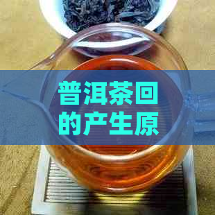 普洱茶回的产生原理及其与制作工艺的关系：探寻普洱茶回背后的科学解析