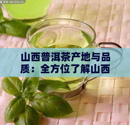 山西普洱茶产地与品质：全方位了解山西出产的普洱茶及其特点