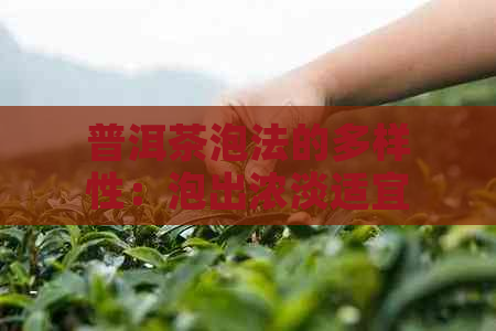 普洱茶泡法的多样性：泡出浓淡适宜的普洱茶