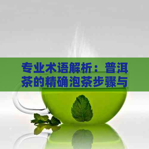 专业术语解析：普洱茶的精确泡茶步骤与技巧