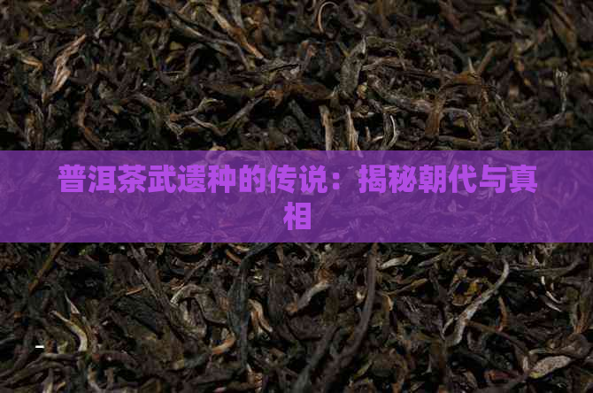 普洱茶武遗种的传说：揭秘朝代与真相