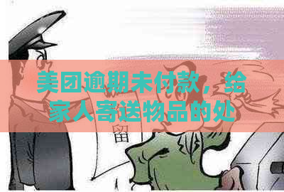 美团逾期未付款，给家人寄送物品的处理方式及相关影响全解析