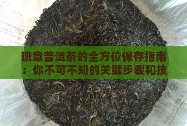 班章普洱茶的全方位保存指南：你不可不知的关键步骤和技巧