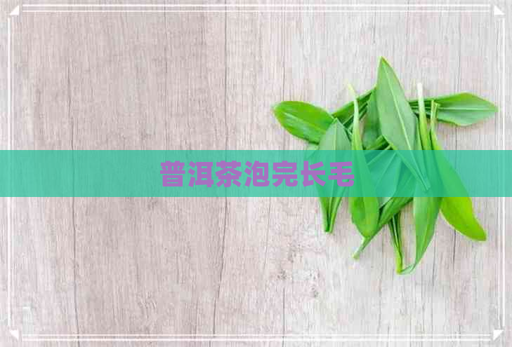 普洱茶泡完长毛