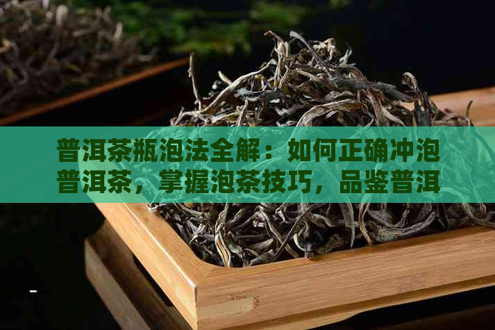 普洱茶瓶泡法全解：如何正确冲泡普洱茶，掌握泡茶技巧，品鉴普洱茶的魅力