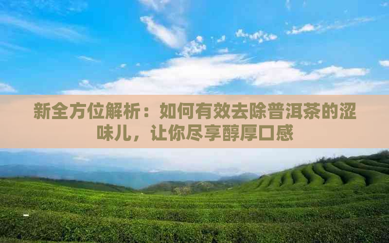 新全方位解析：如何有效去除普洱茶的涩味儿，让你尽享醇厚口感