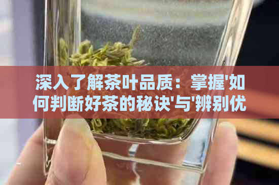 深入了解茶叶品质：掌握'如何判断好茶的秘诀'与'辨别优质茶叶的方法'