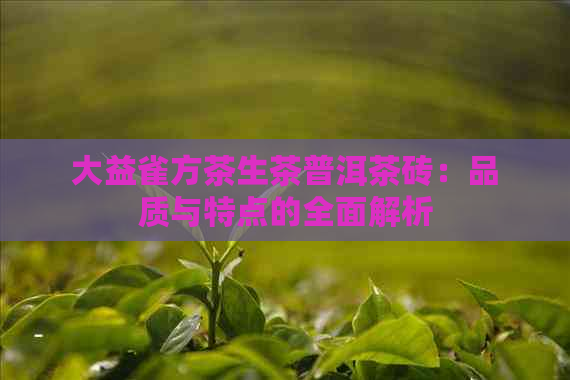 大益雀方茶生茶普洱茶砖：品质与特点的全面解析