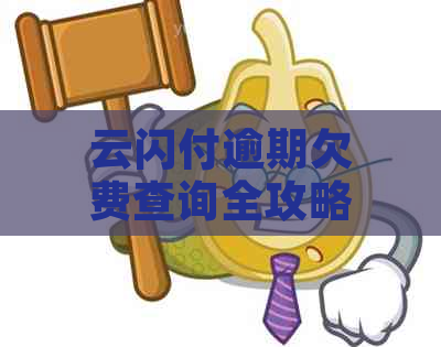 云闪付逾期欠费查询全攻略：如何避免不必要的损失