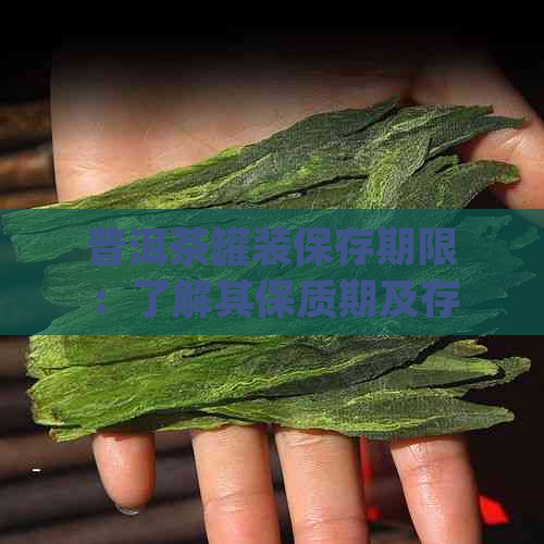 普洱茶罐装保存期限：了解其保质期及存方法，确保品尝品质