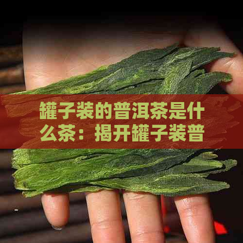 罐子装的普洱茶是什么茶：揭开罐子装普洱茶的秘密