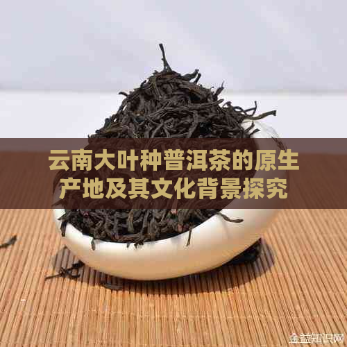 云南大叶种普洱茶的原生产地及其文化背景探究