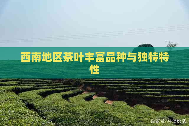 西南地区茶叶丰富品种与独特特性