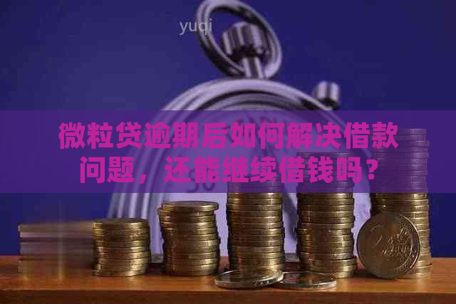 微粒贷逾期后如何解决借款问题，还能继续借钱吗？