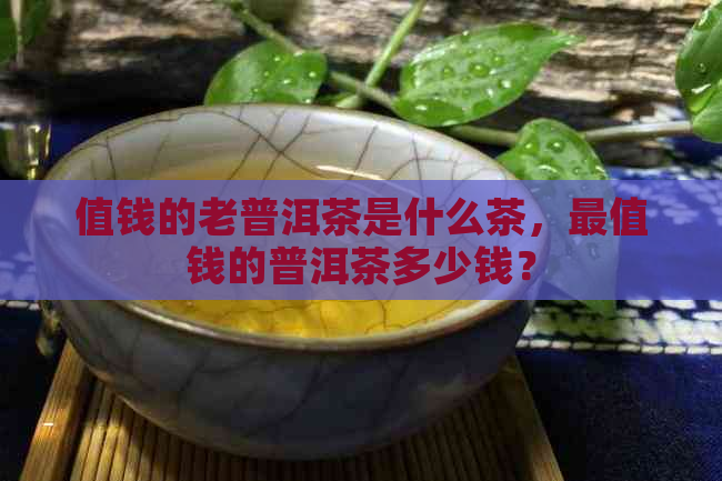 值钱的老普洱茶是什么茶，最值钱的普洱茶多少钱？