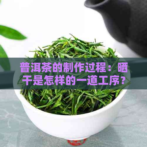 普洱茶的制作过程：晒干是怎样的一道工序？