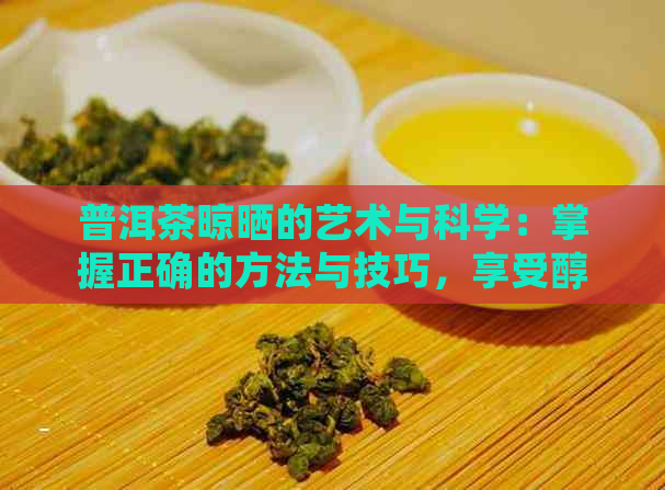 普洱茶晾晒的艺术与科学：掌握正确的方法与技巧，享受醇厚口感的背后