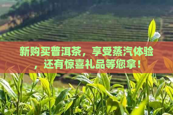 新购买普洱茶，享受蒸汽体验，还有惊喜礼品等您拿！