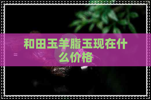 和田玉羊脂玉现在什么价格