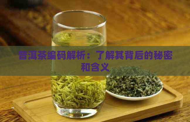 普洱茶编码解析：了解其背后的秘密和含义