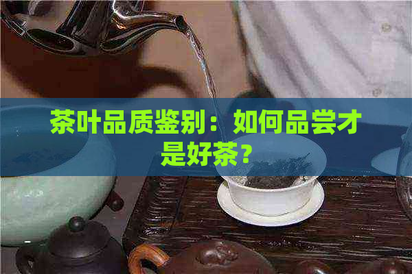 茶叶品质鉴别：如何品尝才是好茶？