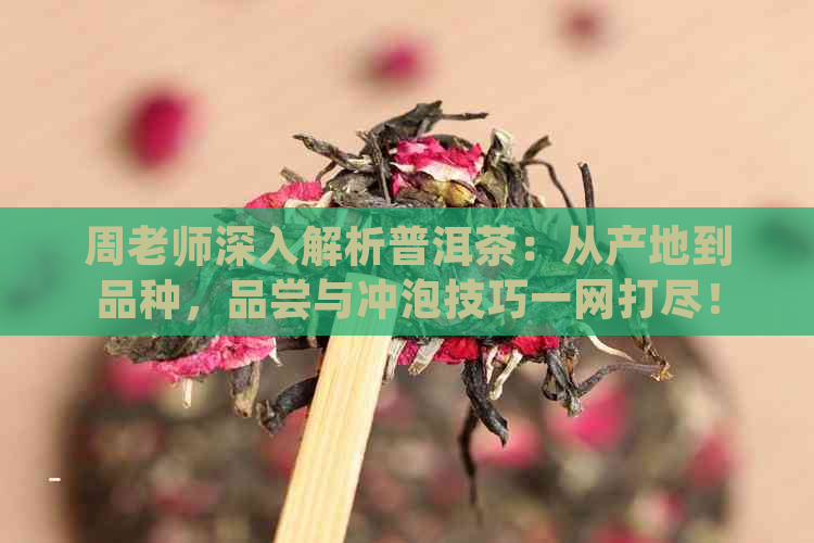 周老师深入解析普洱茶：从产地到品种，品尝与冲泡技巧一网打尽！