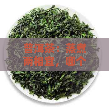 普洱茶：蒸煮两相宜，哪个更美味？