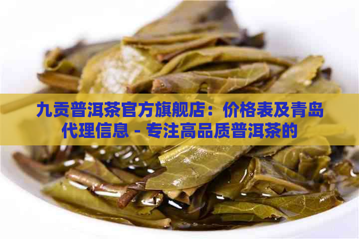 九贡普洱茶官方旗舰店：价格表及青岛代理信息 - 专注高品质普洱茶的