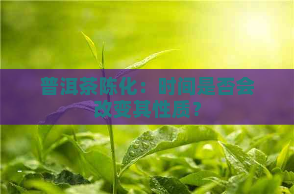 普洱茶陈化：时间是否会改变其性质？