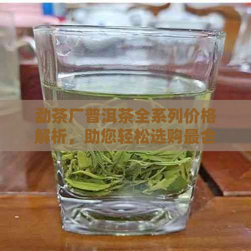 勐茶厂普洱茶全系列价格解析，助您轻松选购最合适的茶品