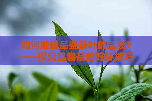 如何准确品鉴茶叶的品质？——探究品尝茶的好坏技巧